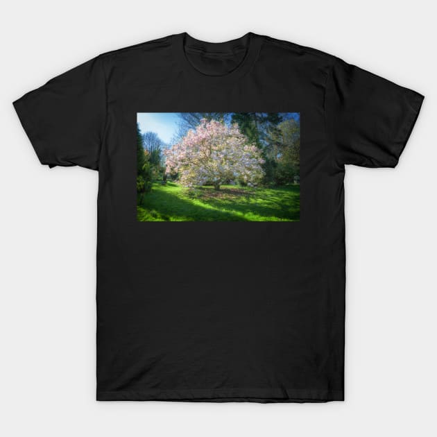 Magnolia T-Shirt by RJDowns